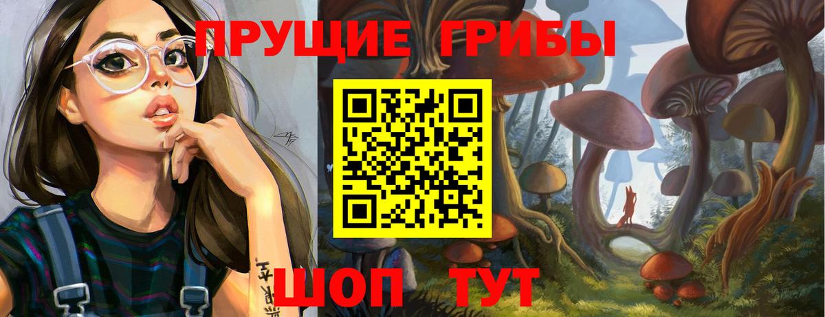 Псилоцибиновые грибы прущие грибы Майкоп