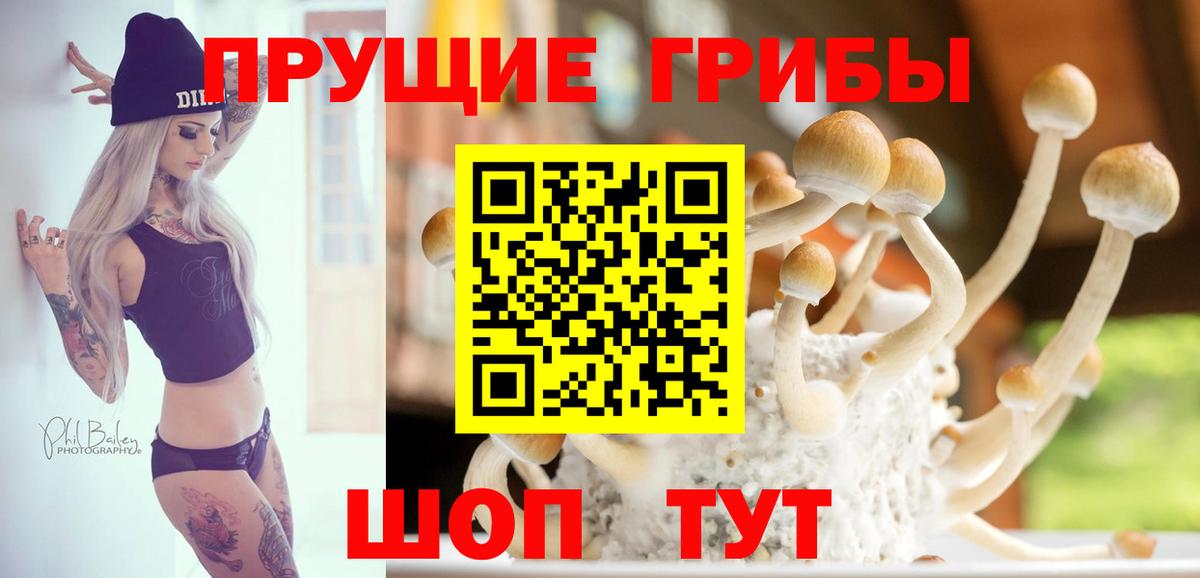 Галлюциногенные грибы прущие грибы  Вход с VPN  Майкоп 